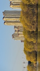 118636