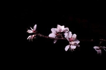 AFF4AF2E-A234-4D45-885B-9A5BEE14966B/L0/001