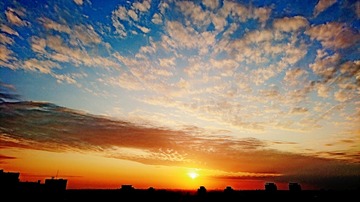 270527