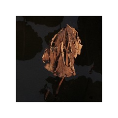 FDEDF96B-63D4-4A69-AAF6-D49820708AC4/L0/001