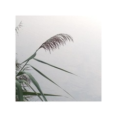 2B577053-F8F7-4DEE-B58A-28F7501FE121/L0/001