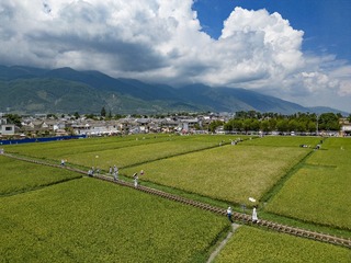 DJI_0634