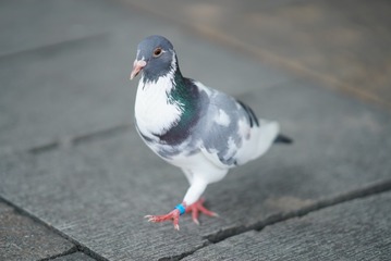 58757