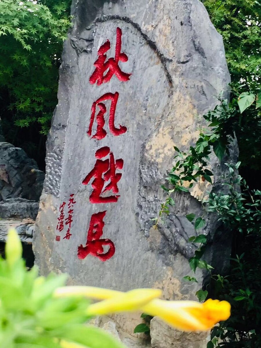 作者 张建明