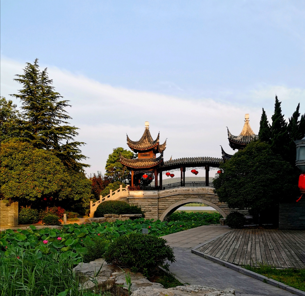 徐州小南湖风光照 作者江师大青松摄影协会 张建明