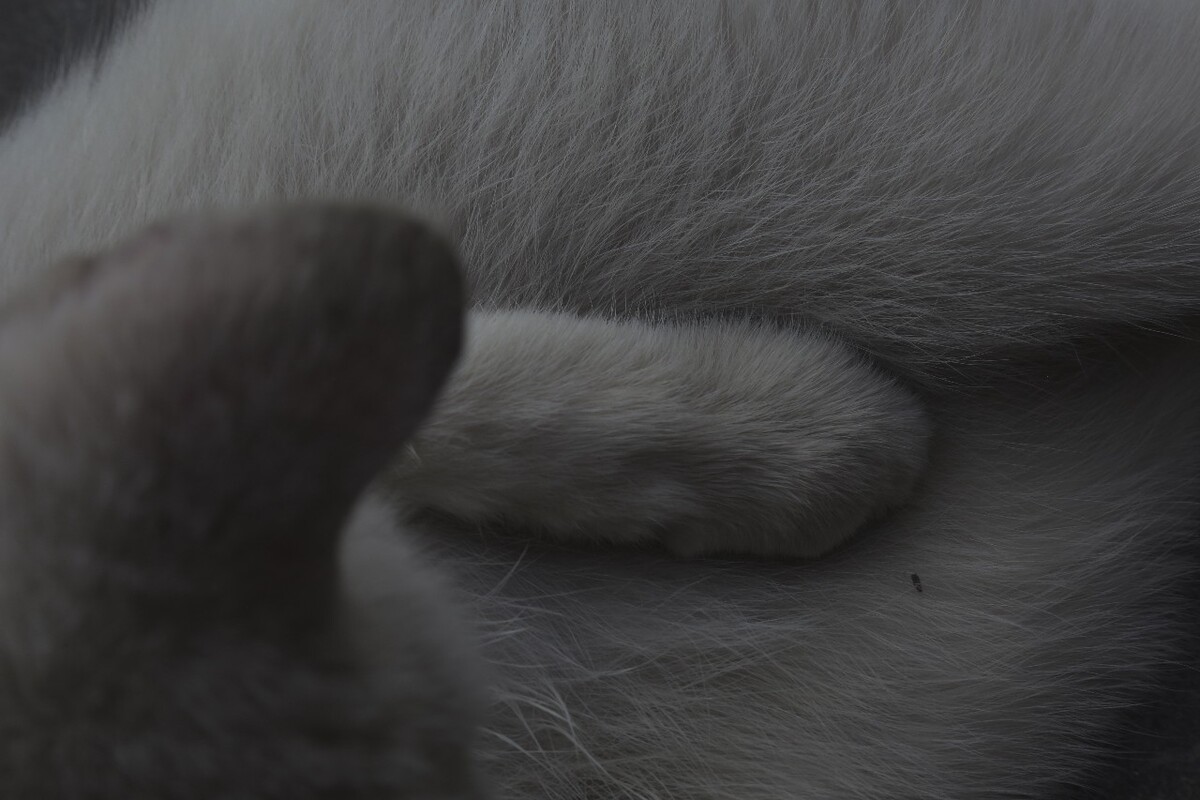 辨