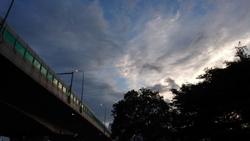 54006