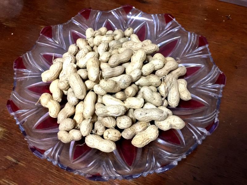 盘装花生06