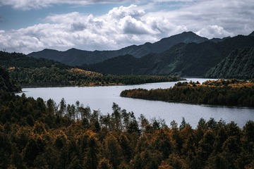 DSC_6686-1