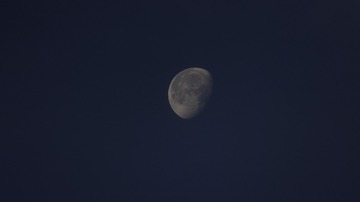 D637E4D5-5D4D-4470-9240-D804D7367829/L0/001