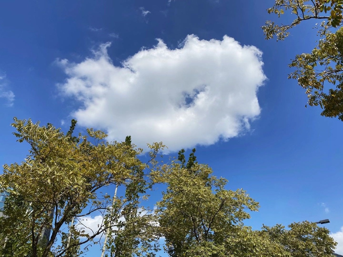 云朵78的几种姿态