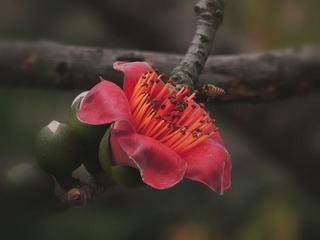 1250668