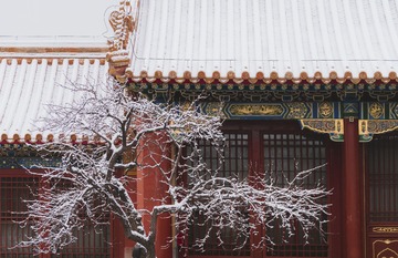 故宫雪景特写