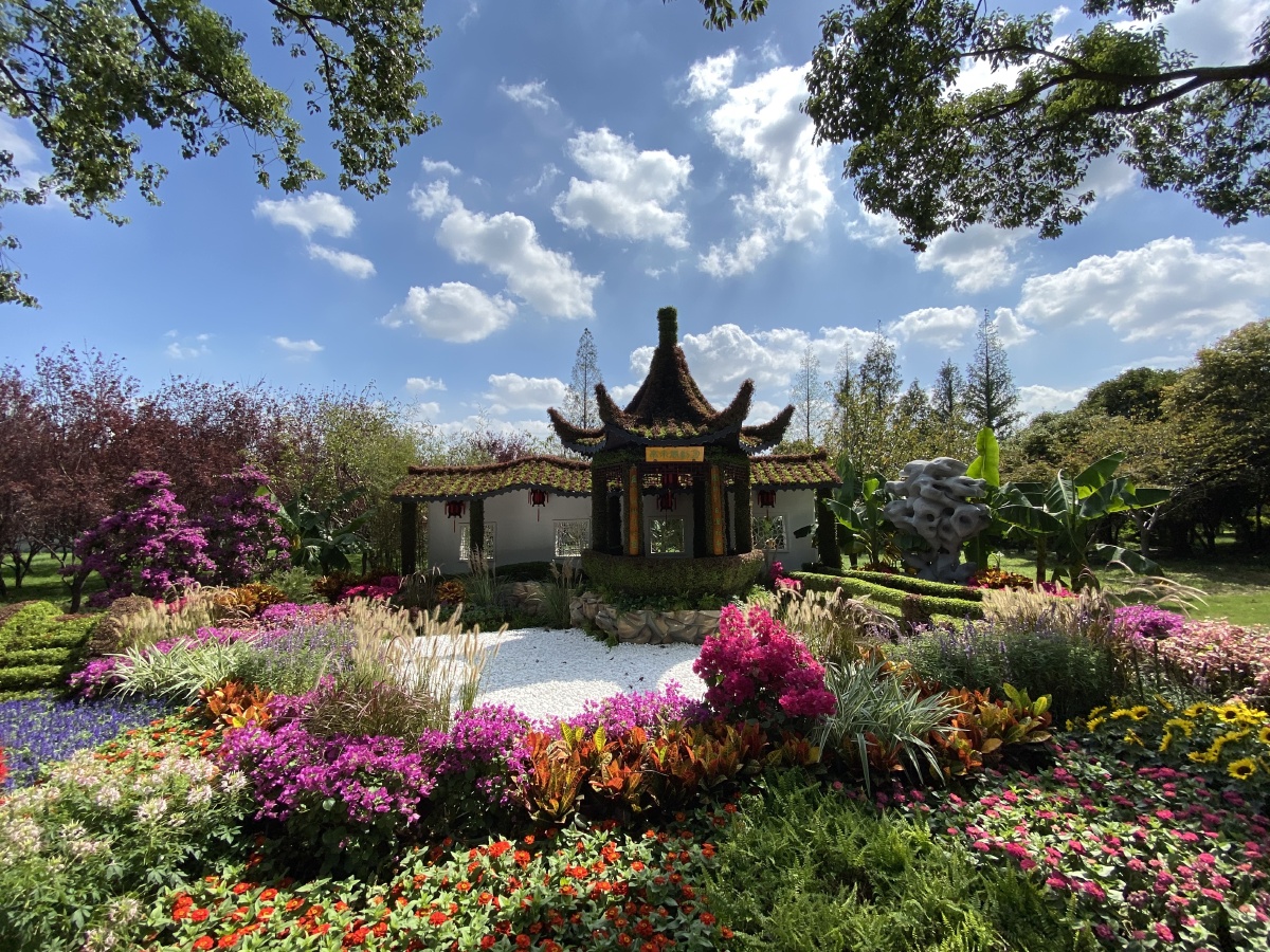 江南园艺展即景苏州上方山植物园寿手机拍摄