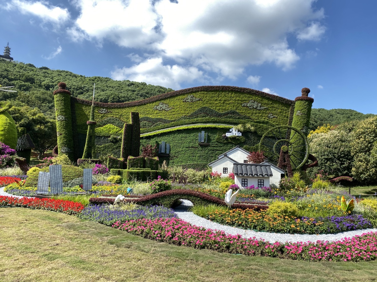 江南园艺展即景苏州上方山植物园寿手机拍摄