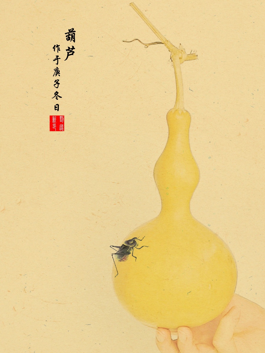 第27天61葫芦和瓷杯手机工笔画班