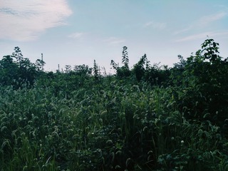 3006515
