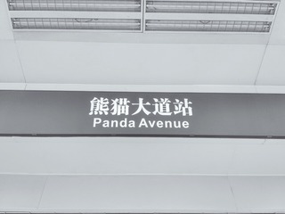 2981901