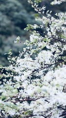03C1F665-AB16-4163-808E-5EF4A5A92E34/L0/001