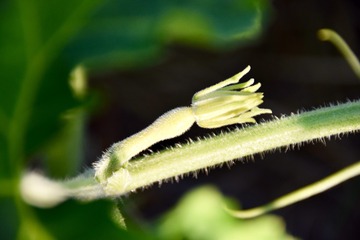 103584