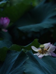 001