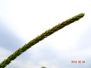 906287