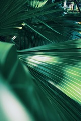 F770551F-C520-484B-9D99-E5E725FA4E46/L0/001