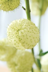 BF980F00-16E6-44B1-88FF-E769CC3D17F6/L0/001