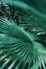 26ED5B6C-C3F0-4492-81EA-7C8EFC850B66/L0/001