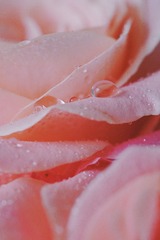 C6EECB06-EEB6-4073-B293-5D7789CF5A95/L0/001