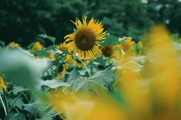 02087F12-936B-46FC-ADBF-CCE68F97500A/L0/001