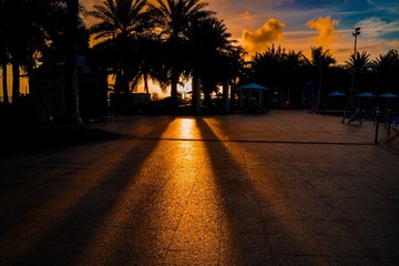 A5682F8C-A066-4095-AF8B-7F5BAAF399FD/L0/001