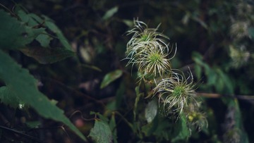 3DF32321-6CF1-47B6-AD47-846E006DF686/L0/001