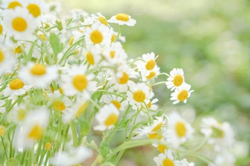 FD77E2E3-E5F1-47C1-850D-0B399453928B/L0/001