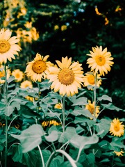 DD3B9067-C2EA-477E-BDCC-905FFEEDFEA3/L0/001