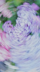 DF04C061-7B70-45BF-968C-18CA40418901/L0/001