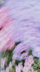 1E8B76C6-5E00-4198-8F7D-FD576B9CCDB5/L0/001