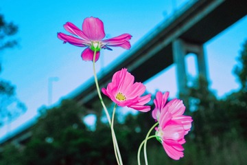 9C1B9496-6C29-4AE9-9C74-221E3745E3C5/L0/001