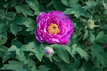 001