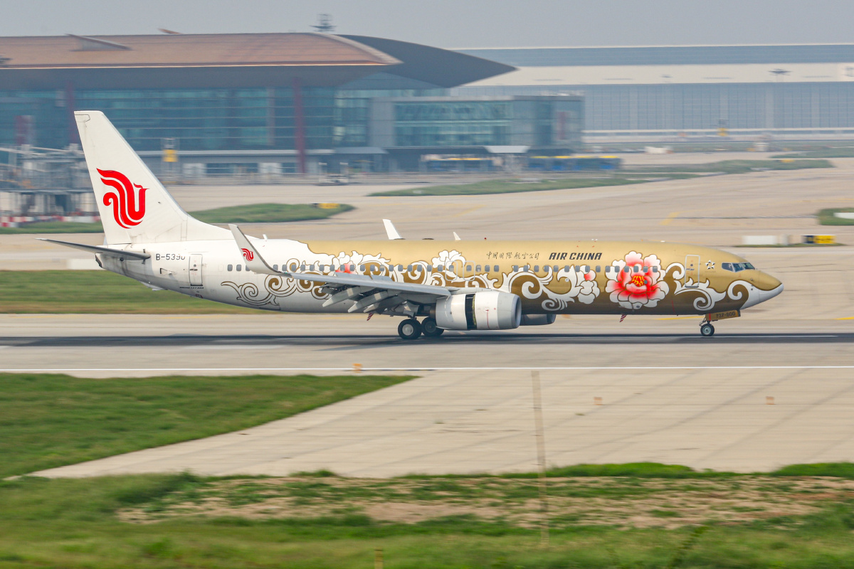 中国国际航空公司金牡丹彩绘飞机机型波音737800注册号b5390