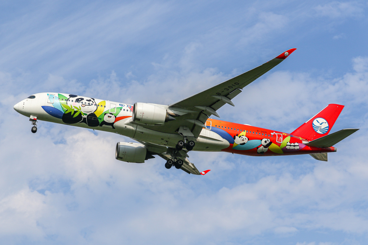四川航空熊猫彩绘注册号b310d