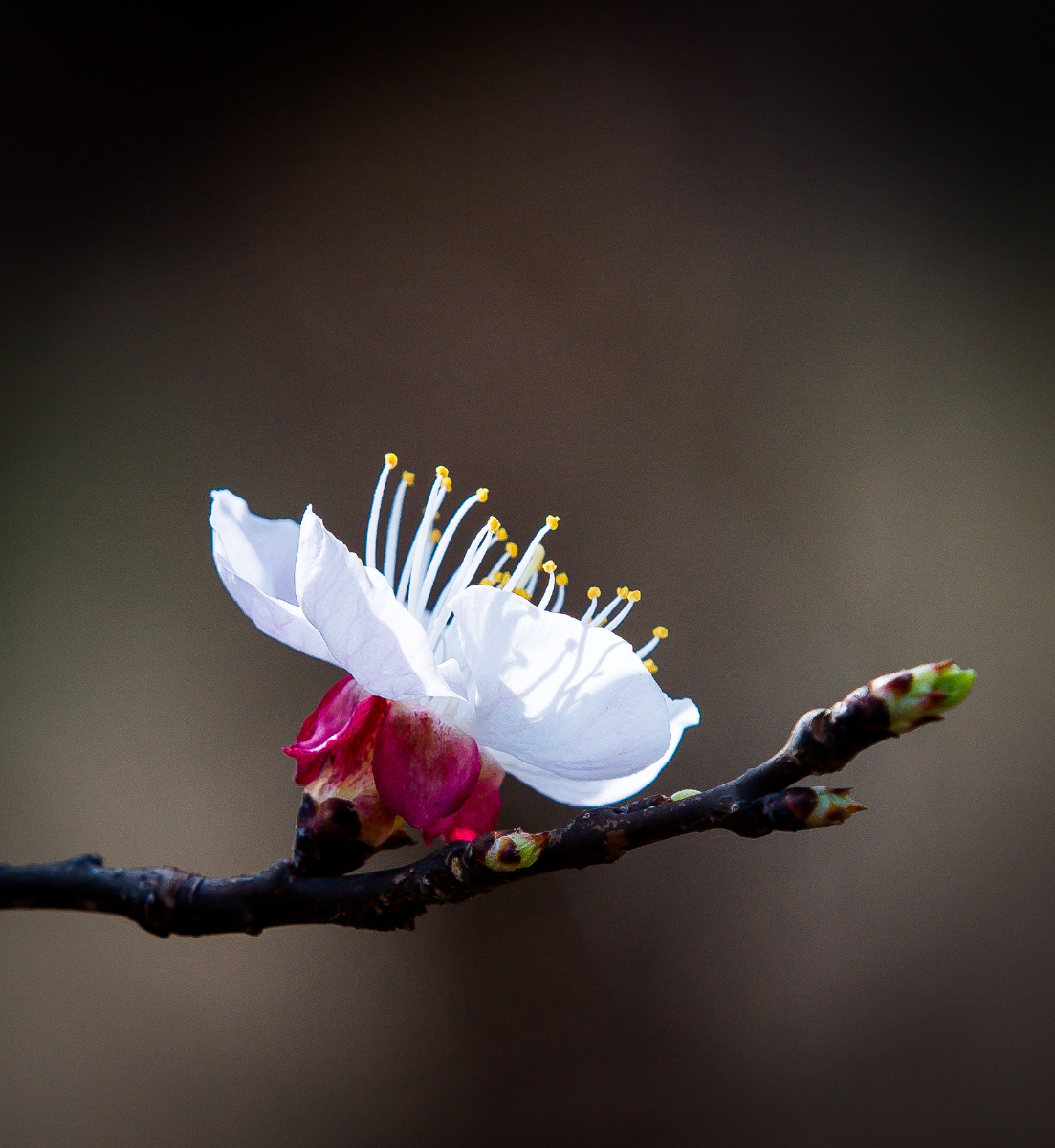 1/144meet遇见摄影风景花鸟摄影圈河北摄影圈福建摄影圈生活小确幸