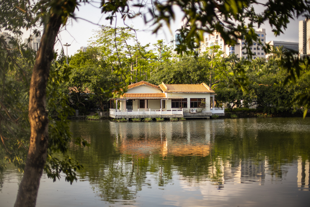 晴天下的深圳荔枝公园