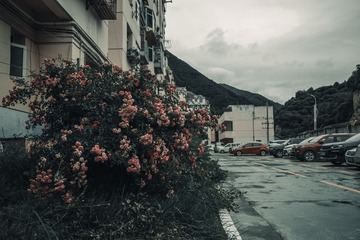 551259
