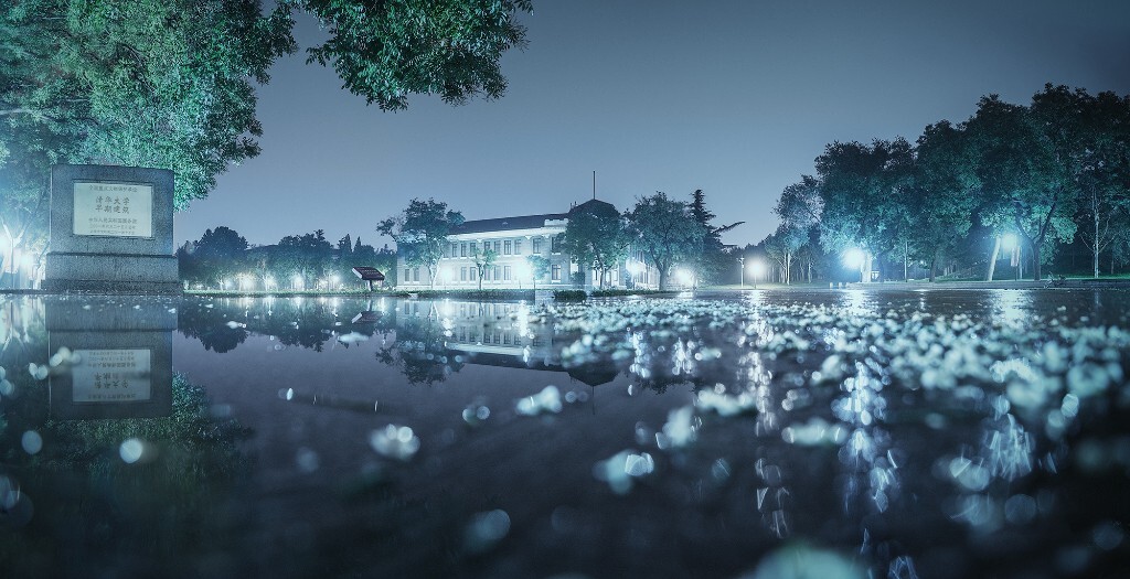 雨后，清华学堂和落地的槐花一起漂浮在水上