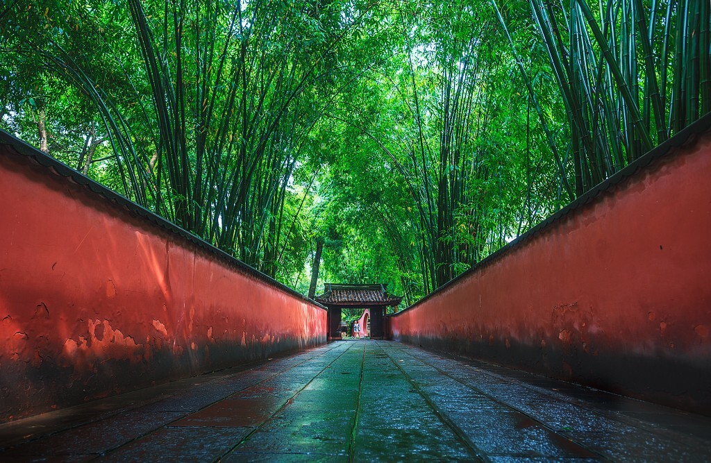 成都，杜甫草堂，夏季的一场晨雨后，阳光透过竹林打在花径的红墙上。