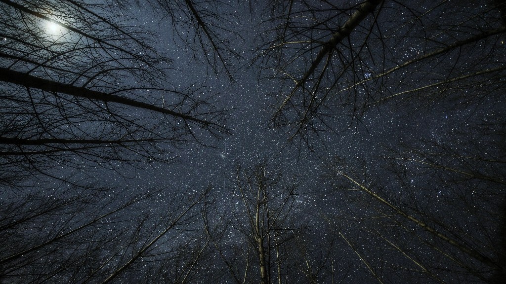 白桦林中的冬季银河与将要落山的弯月。仔细看能找到一颗卫星的轨迹划过仙女座大星系(M31)。北京怀柔，喇叭沟门。适马15mm/2.8鱼眼