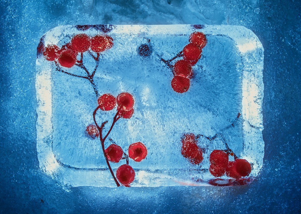 小樽雪灯节，被冻在冰砖中的樱桃。对日本人在细节上的心思完全无法抗拒。<br />
嘘~