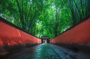 竹林红墙 雨湿花径