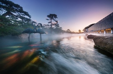 _DSC7794